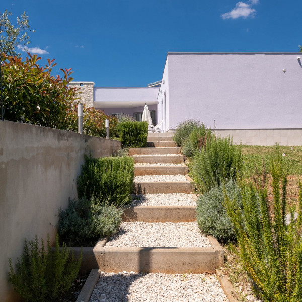 House Lavanda, House Lavanda  Nede&scaron;ćina